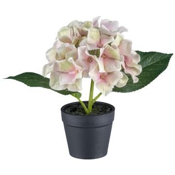 Dekorativ blomma hortensia LENDYN i dekorativ kruka, pastellrosa, 20cm Dekorativ blomma hortensia LENDYN i dekorativ kruka, pastellrosa, 20cm