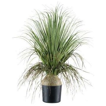 Dekorativ palm COOSA, 70cm Dekorativ palm COOSA, 70cm