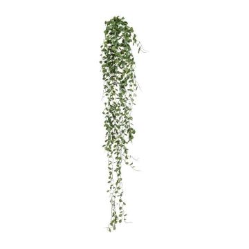 Konsthängare Muehlenbeckia GRIHON, stickpinne, mörkgrön, 80cm Konsthängare Muehlenbeckia GRIHON, stickpinne, mörkgrön, 80cm