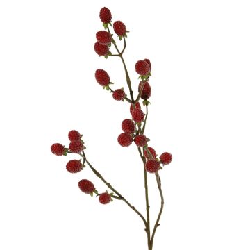 Dekorativ kvist med björnbär URUMA med frukter, röd, 90cm Dekorativ kvist med björnbär URUMA med frukter, röd, 90cm