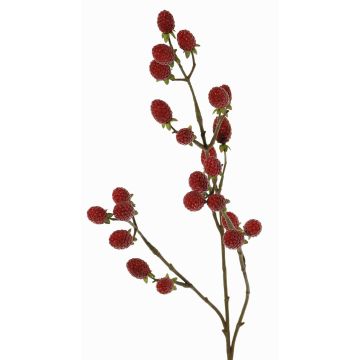 Dekorativ kvist med björnbär URUMA med frukter, röd, 90cm Dekorativ kvist med björnbär URUMA med frukter, röd, 90cm