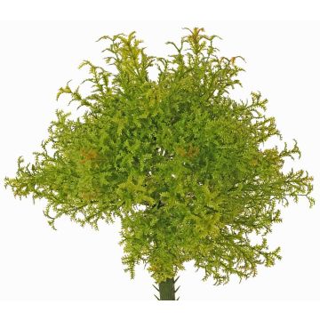 Konstgjord mossfarn PADMA på pinne, grönbrun, 23cm, Ø20cm