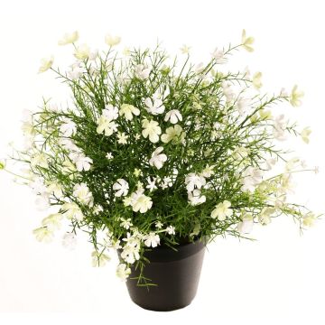 Dekorationsblomma, pelargon GISINDA i dekorationskruka, vit-grön, 40cm Dekorationsblomma, pelargon GISINDA i dekorationskruka, vit-grön, 40cm