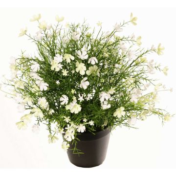 Dekorationsblomma, pelargon GISINDA i dekorationskruka, vit-grön, 40cm