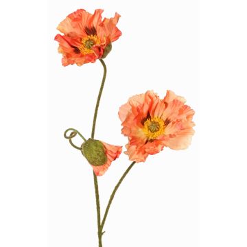 Konstgjord vallmogren PEJA, persika, 90cm, Ø11-13cm Konstgjord vallmogren PEJA, persika, 90cm, Ø11-13cm