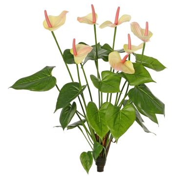 Konstgjord anthurium NAKITA på stativ, rosa-krämfärgad, 50cm Konstgjord anthurium NAKITA på stativ, rosa-krämfärgad, 50cm