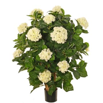 Konstgjord hortensia PINDO, krämfärgad, 95cm Konstgjord hortensia PINDO, krämfärgad, 95cm
