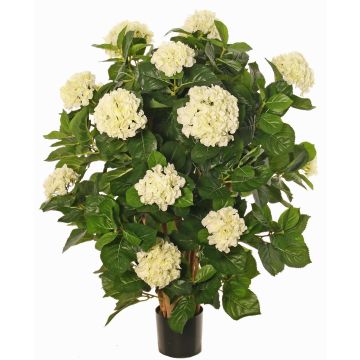 Konstgjord hortensia PINDO, krämfärgad, 95cm