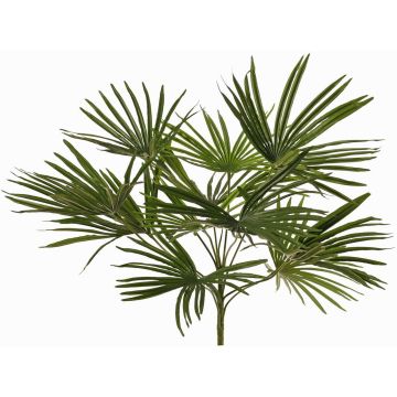 Konstgjord palm Washingtonia SAIMA på stativ, crossdoor, 50cm Konstgjord palm Washingtonia SAIMA på stativ, crossdoor, 50cm
