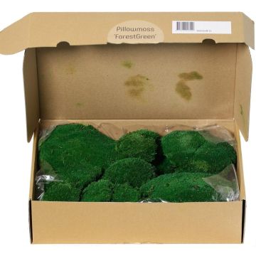 Äkta plattmossa SEETHA, grön, 800g, 0,15 m²