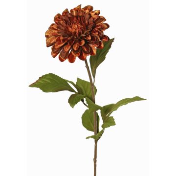 Sammetdahlia TINFAS, koppara, 60cm, Ø13cm