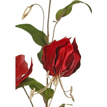 Sammet gloriosa-gren DINFAS, mörkröd-guld, 80cm Sammet gloriosa-gren DINFAS, mörkröd-guld, 80cm