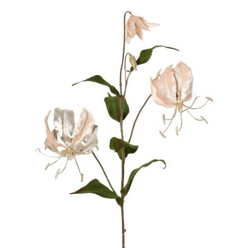 Sammet gloriosa-gren DINFAS, blekrosa-guld, 80cm Sammet gloriosa-gren DINFAS, blekrosa-guld, 80cm