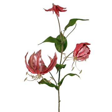 Sammetgloriosa-gren DINFAS, mauve-guld, 80cm