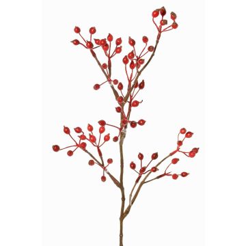 Dekorativ kvist av vildros HIKERNO med nypon, röd, 60cm
