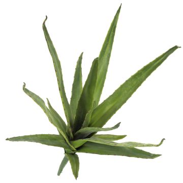 Plastskum Aloe Vera VERENA, på pinne, crossdoor, grön, 50cm, Ø40cm