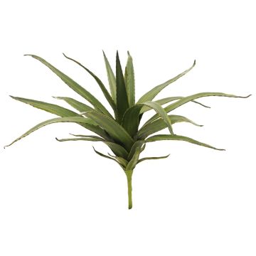 Plastskum Aloe Vera VERENA, på pinne, crossdoor, grön, 50cm, Ø40cm