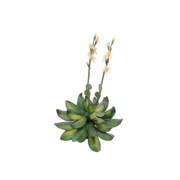 Plastskum Aeonium CHARLIZE med blommor, stickpinne, gul, 30cm