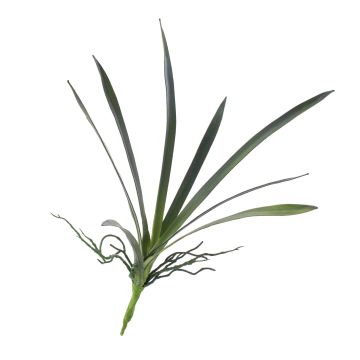Plastskum med blad, Oncidium-orkidé PAOLA, luftrötter, 25x45cm Plastskum med blad, Oncidium-orkidé PAOLA, luftrötter, 25x45cm