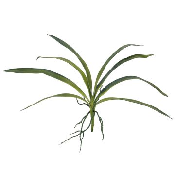 Plastskum med blad, Oncidium-orkidé PAOLA, luftrötter, 25x45cm Plastskum med blad, Oncidium-orkidé PAOLA, luftrötter, 25x45cm