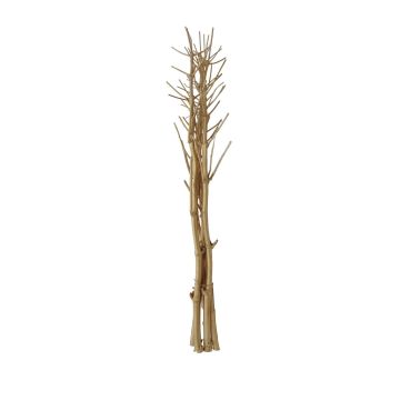 Torkade kvistar HASINA, pil, guld, 160-200cm