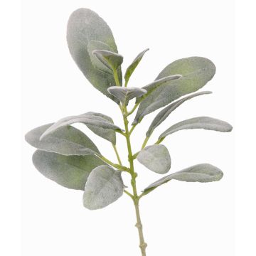 Konstgjord gren av ullgräs FERRIS, grågrön, 40cm
