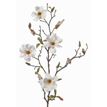 Konstgjord magnoliagren MARGA, vit, 80cm, Ø7-8cm Konstgjord magnoliagren MARGA, vit, 80cm, Ø7-8cm