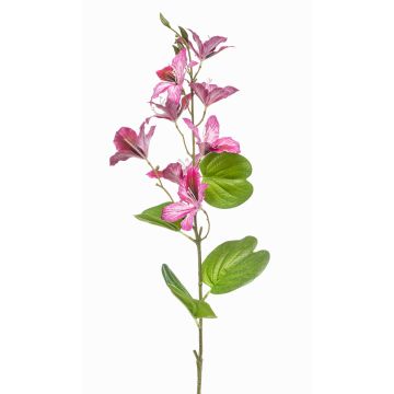 Dekorativ gren av Bauhinia DOWLER, rosa, 85cm Dekorativ gren av Bauhinia DOWLER, rosa, 85cm