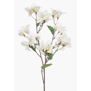 Dekorativ gren Bougainvillea MOWLER med blommor, krämfärgad, 70cm Dekorativ gren Bougainvillea MOWLER med blommor, krämfärgad, 70cm