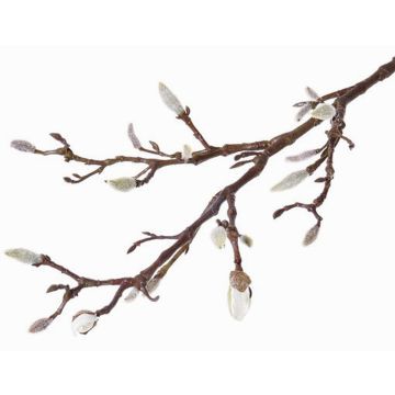 Konstgjord magnoliagren ASANI, vit, 70cm, Ø1-2cm