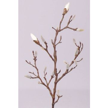 Konstgjord magnoliagren ASANI, vit, 70cm, Ø1-2cm
