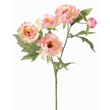 Konstgjord gren med pion LARDUAN, Eco Collection, rosa-vit, 60cm, Ø7cm