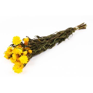 Stråblommabukett ALMINKA, torkad, gul, 50-60cm, Ø15cm Stråblommabukett ALMINKA, torkad, gul, 50-60cm, Ø15cm