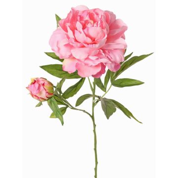 Konstgjord pion WARDUAN, Eco Collection, rosa, 65cm, Ø15cm