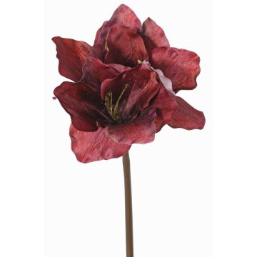 Konstgjord amaryllis SARDUAN, vinröd, 65cm, Ø10cm