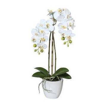 Konstgjord Phalaenopsis-orkidé LARKEN i keramikkruka, rötter, vit, 45cm Konstgjord Phalaenopsis-orkidé LARKEN i keramikkruka, rötter, vit, 45cm