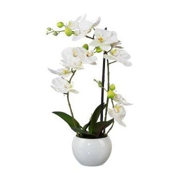 Textil Phalaenopsis-orkidé INAKES, keramikkruka, rötter, vit, 40cm