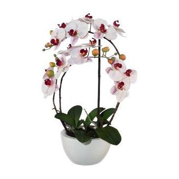 Textil Phalaenopsis-orkidé INAKES, keramikkruka, rötter, rosa-vit, 50cm Textil Phalaenopsis-orkidé INAKES, keramikkruka, rötter, rosa-vit, 50cm