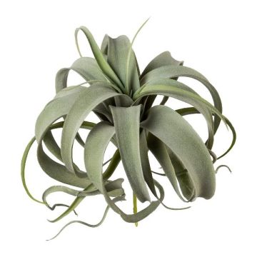 Konstgjord suckulent Tillandsia xerographica TRUMSY, på pinne, grön, 28cm, Ø25cm