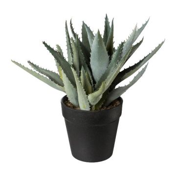 Konstgjord suckulent Aloe Vera BLORN i dekorativ kruka, grön, 23cm Konstgjord suckulent Aloe Vera BLORN i dekorativ kruka, grön, 23cm