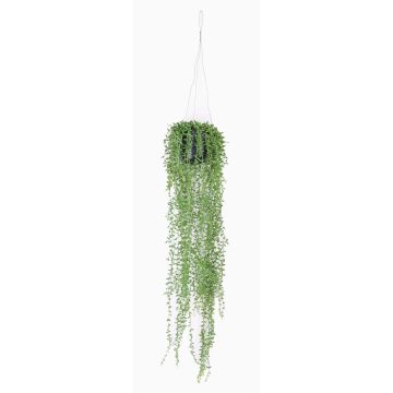 Konstgjord suckulent Senecio hängkruka COSIMA i dekorativ kruka, grön, 70cm Konstgjord suckulent Senecio hängkruka COSIMA i dekorativ kruka, grön, 70cm