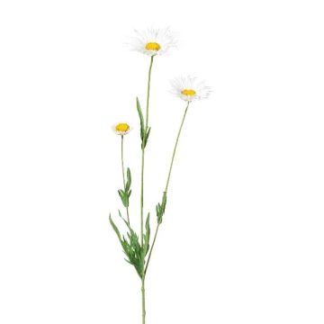 Konstgjord kvist med prästkrage FRUHIL, vit, 65cm Konstgjord kvist med prästkrage FRUHIL, vit, 65cm