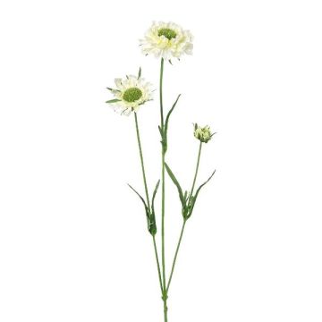 Dekorativ kvist Scabiosa ATLENTO, vit, 65cm Dekorativ kvist Scabiosa ATLENTO, vit, 65cm