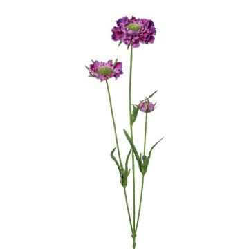 Dekorativ kvist med scabiosa ATLENTO, violett, 65cm