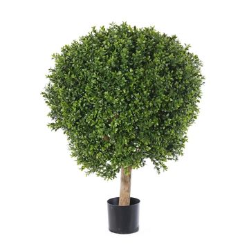 Konstgjord buxbom TOM, naturstam, crossdoor, 80cm, Ø60cm