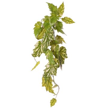 Konstväxt Begonia palmata OANFIR, stödpinne, hängande, grön, 90cm Konstväxt Begonia palmata OANFIR, stödpinne, hängande, grön, 90cm