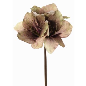 Konstgjord amaryllis SARDUAN, grön-rosa, 65cm, Ø10cm