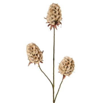 Konstgjord gren med skäggnejlika MARDUEN, beige, 75cm, Ø5cm Konstgjord gren med skäggnejlika MARDUEN, beige, 75cm, Ø5cm