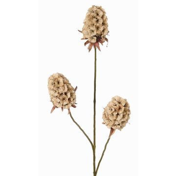 Konstgjord gren med skäggnejlika MARDUEN, beige, 75cm, Ø5cm