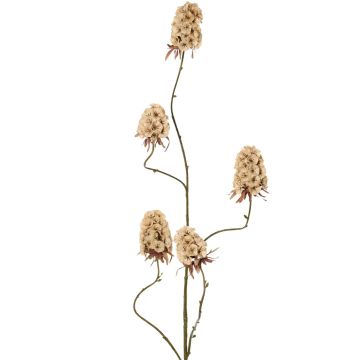 Konstgjord gren av skäggnejlika MARDUEN, beige, 115cm, Ø5cm Konstgjord gren av skäggnejlika MARDUEN, beige, 115cm, Ø5cm